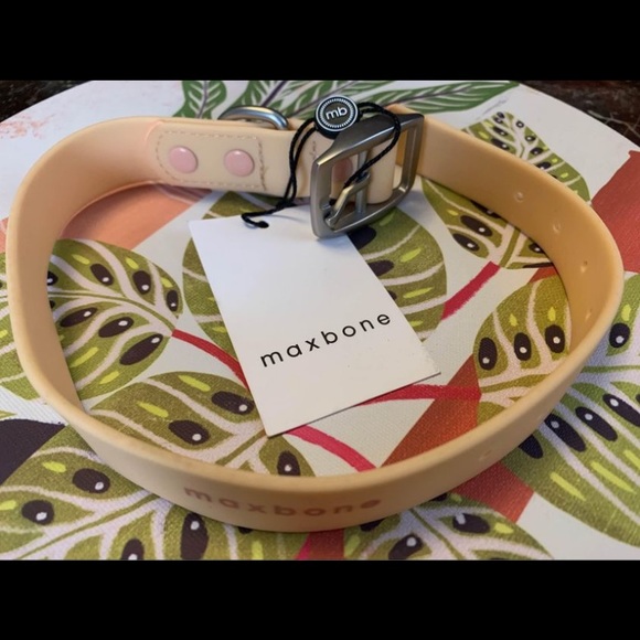 Brand new MAXBONE dog collar! SOLD at SAKS FIFTH AVENUE!! AVAILABLE here! - Picture 4 of 6